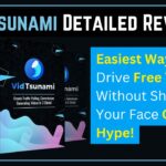 VidTsunami Review