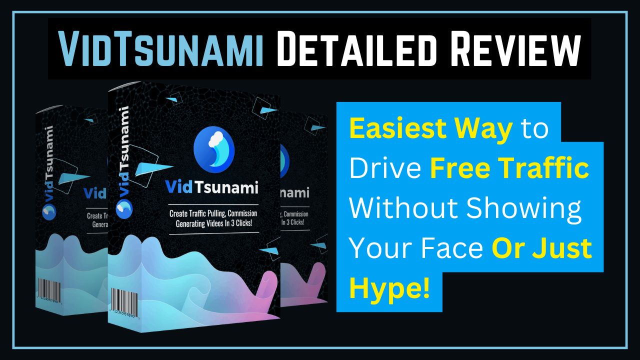 VidTsunami Review